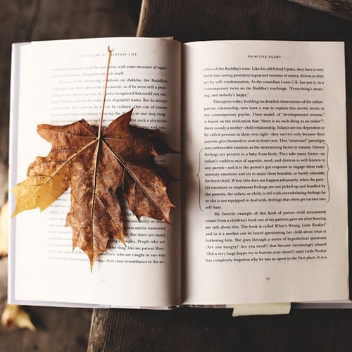 Books to Read This Fall - College News