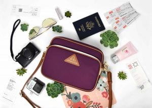 Studying Abroad
