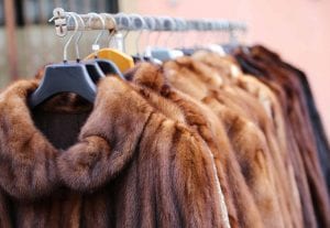 Animal Fur