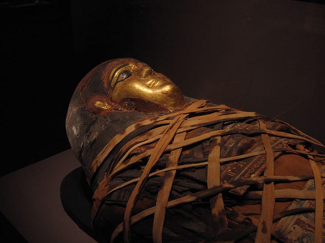 Mummy inside sarcophagus