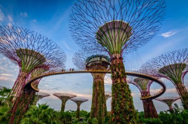 Study abroad in Singapore