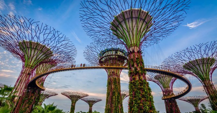 Study abroad in Singapore