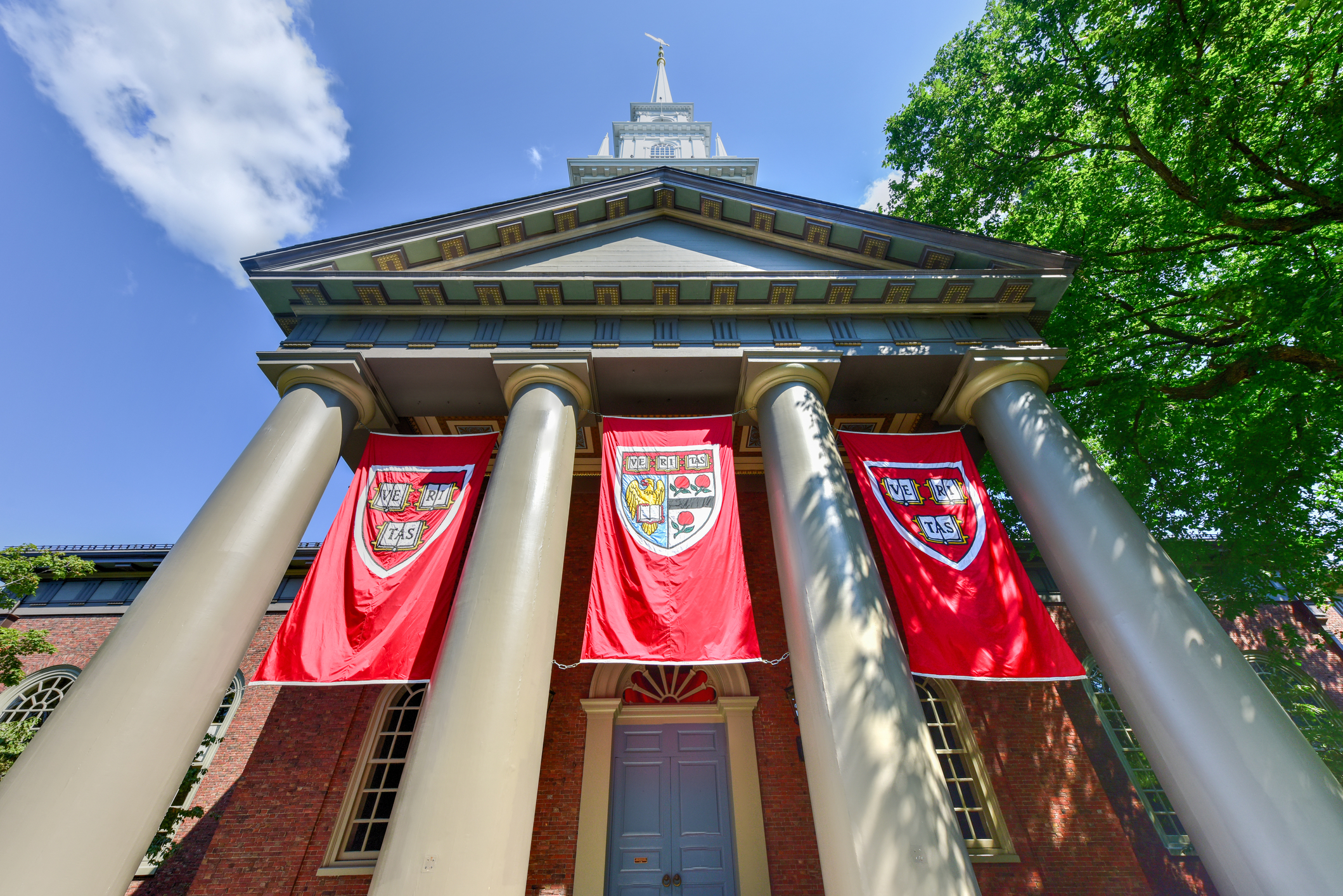 Judge Temporarily Halts Donald Trump's Ban on Harvard's International Students