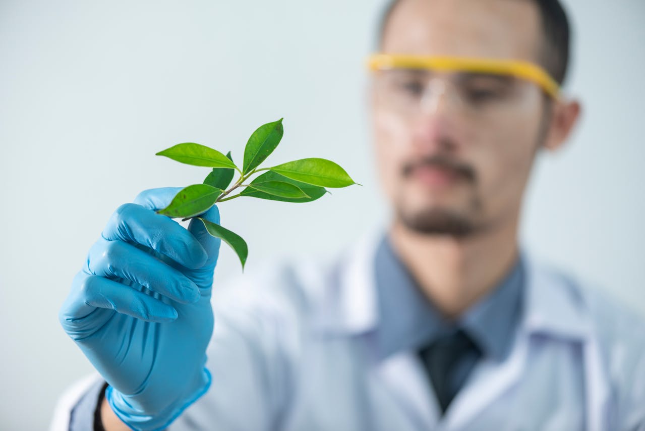5 Medical Fields You May Want to Pursue