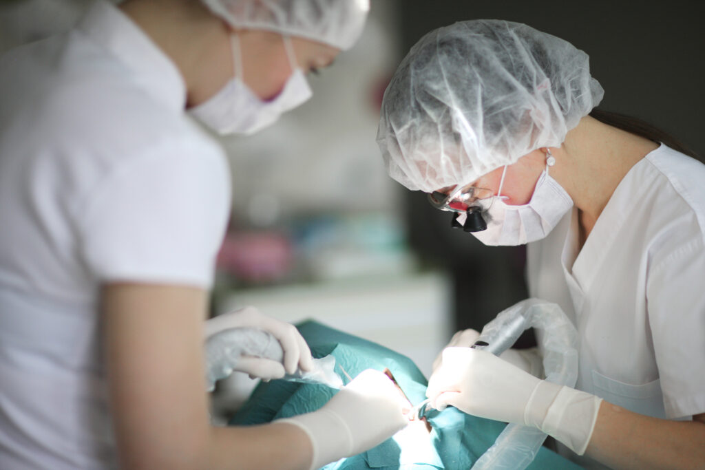 So You Want to Be a Dentist? 4 Different Paths to Take