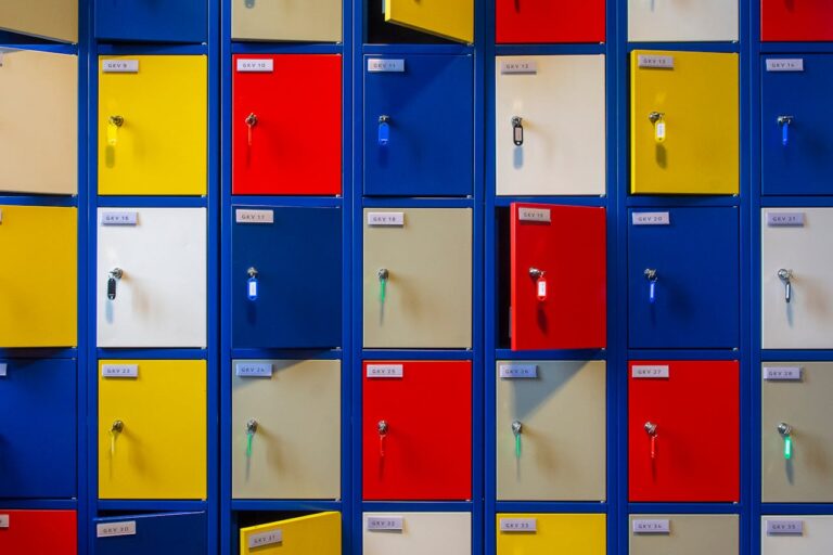 A Few Essential Factors to Consider When Choosing College Lockers