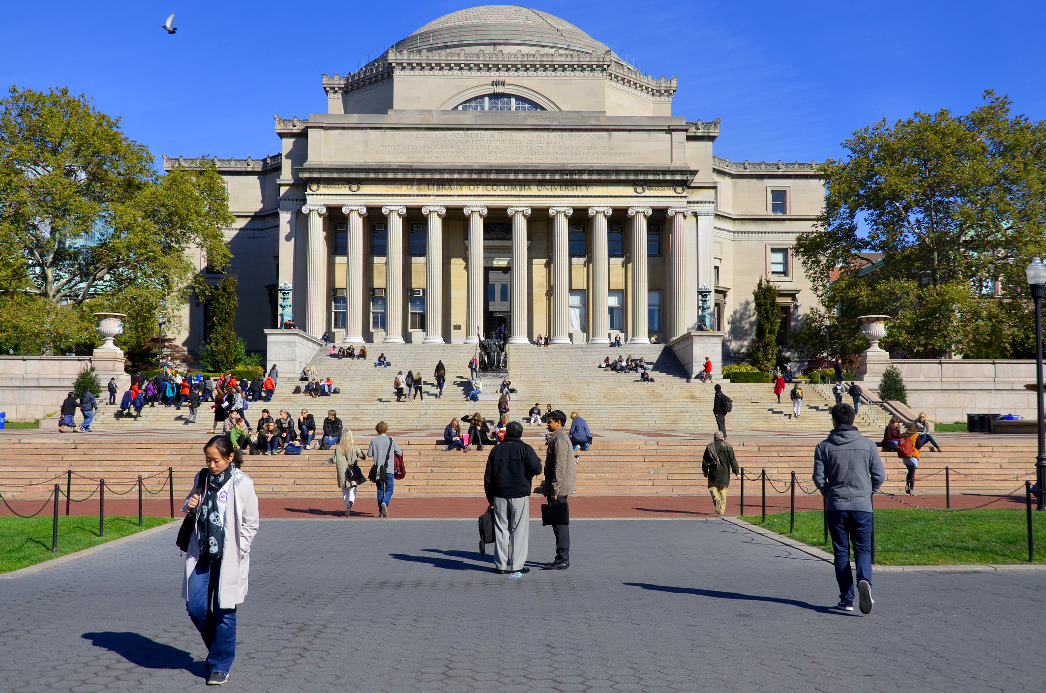 International Student Enrollment Rate in U.S. Falls 17%, Report Shows