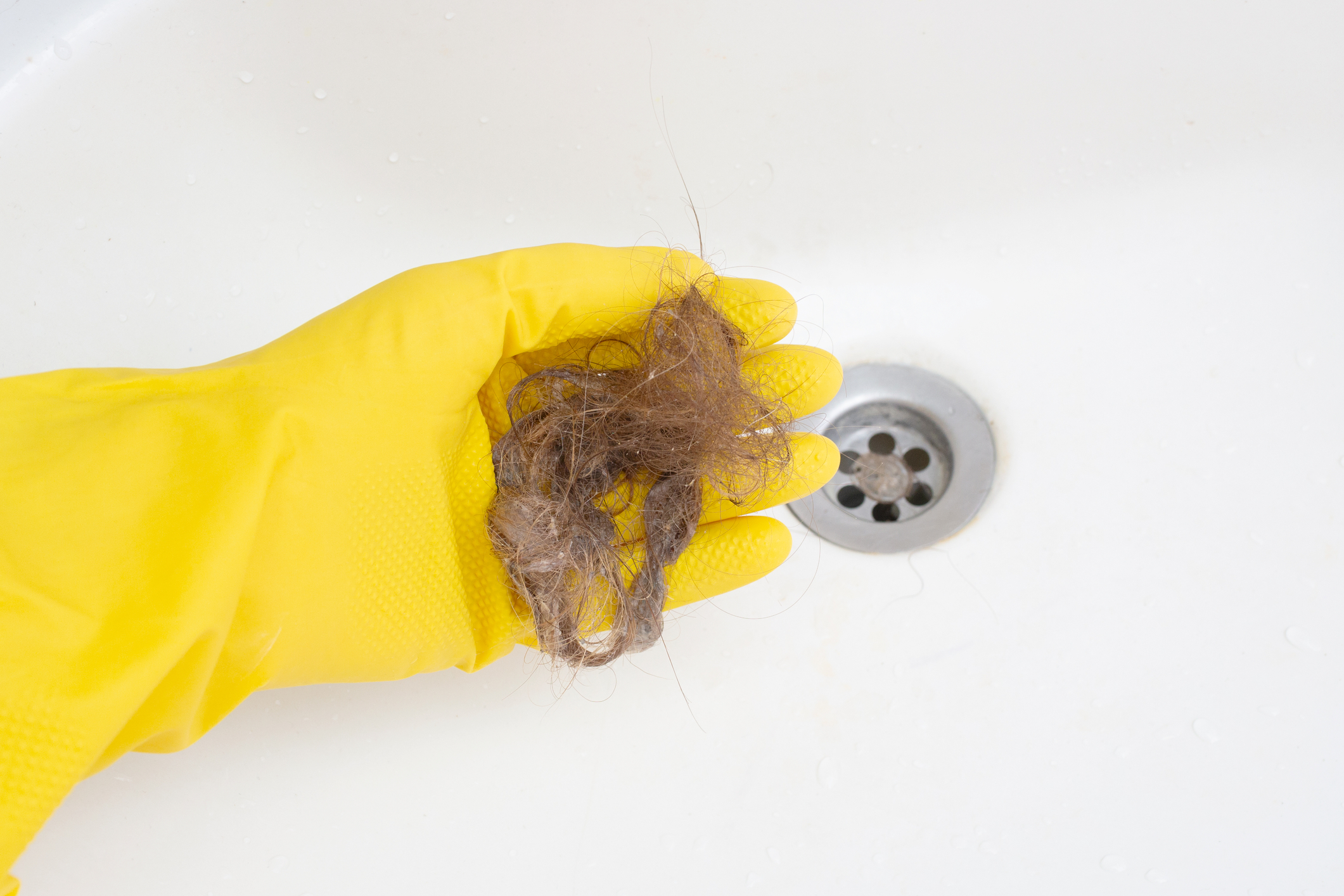 Preventing Clogged Drains and Toilets in Student Apartments