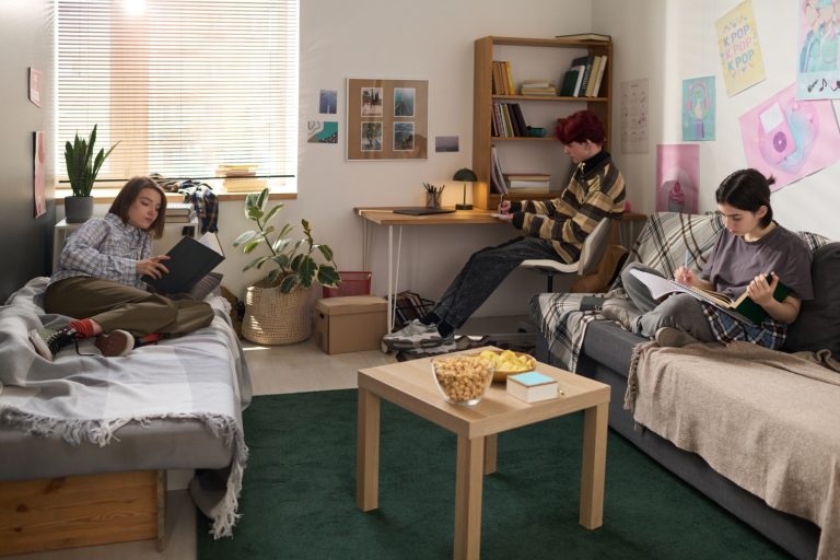 Understanding Personality and Compatibility Styles in College Roommates